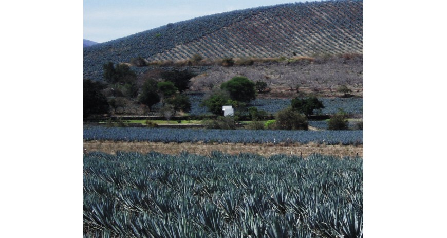 El Tiempo en el Tequila